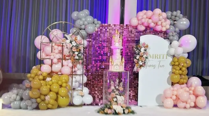 Castle Themed Party for Shimmer backdrop