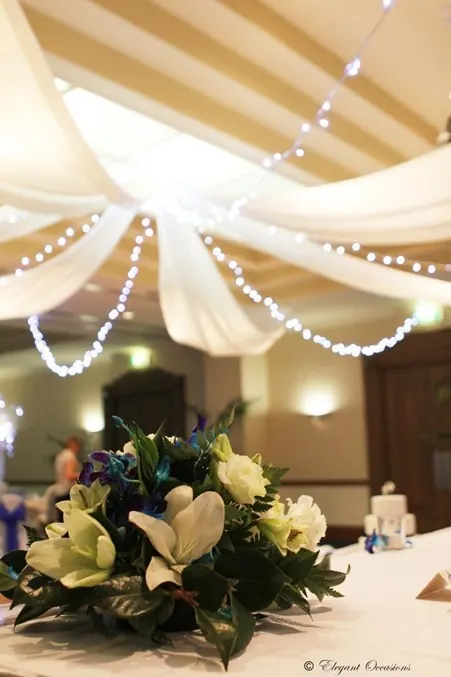 Ceiling Decor for Fabric and Lights