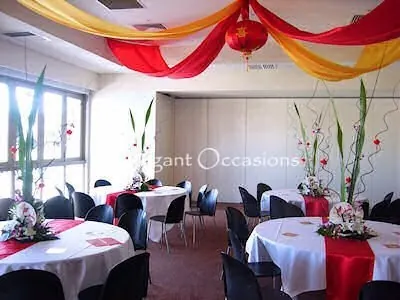 Themed Ceiling Decor for Themed Ceiling