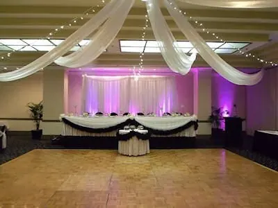 Tulle and Lights on Ceiling for Tulle and Lights on Ceiling