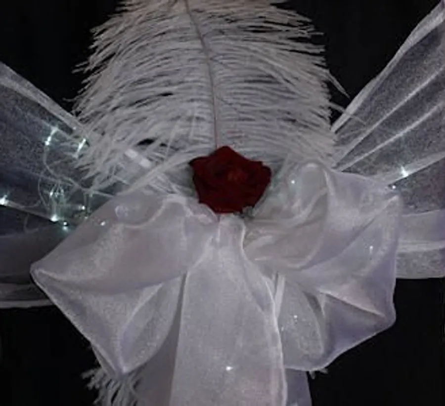 Chair Covers Sashes Detail 4 for Chair Covers Sashes