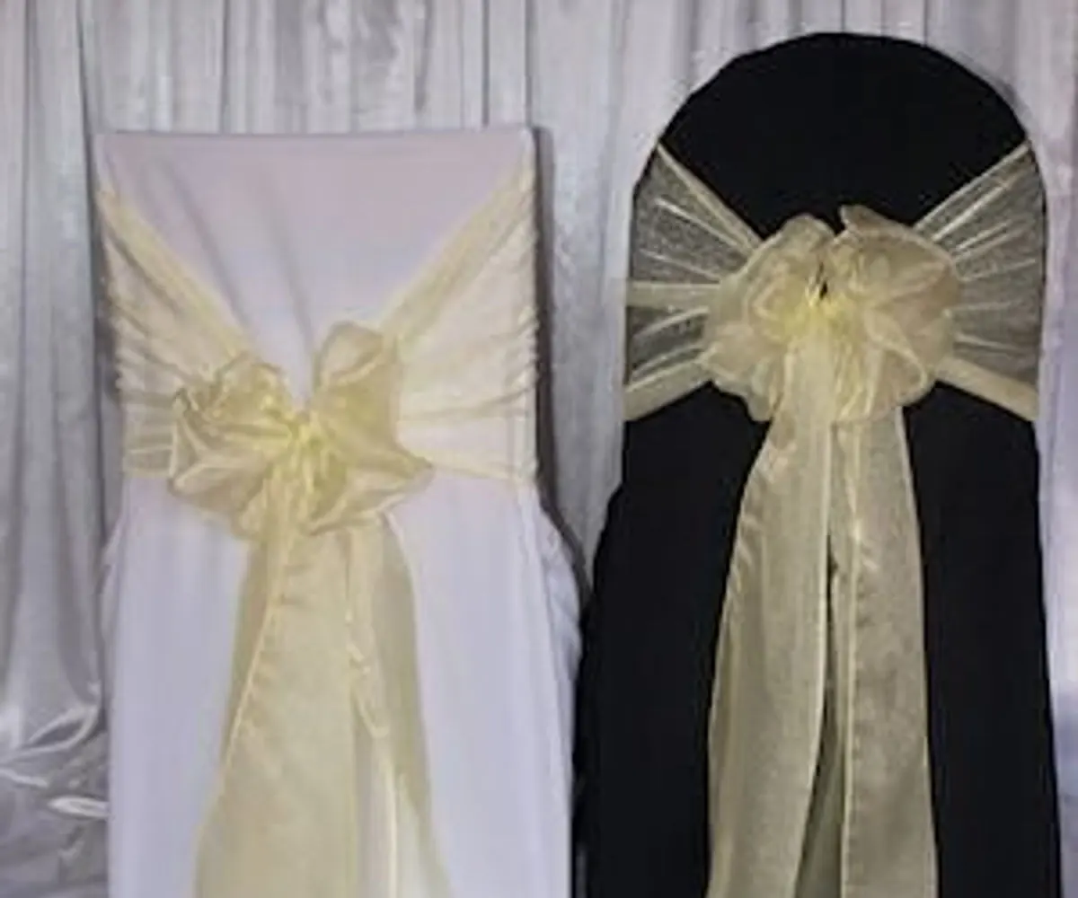 Pale lemon organza sash
