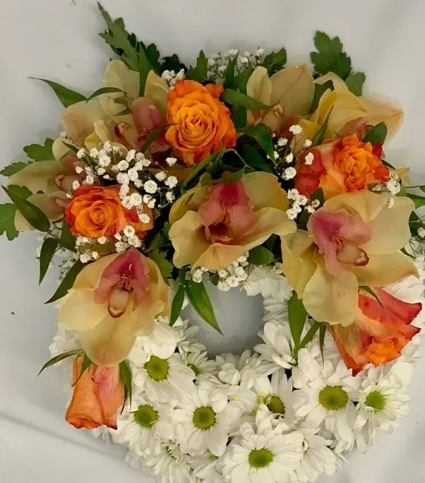 cymbidium orchids for cymbidium orchids