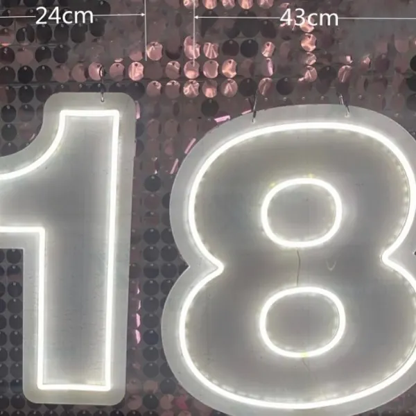 Light Up Numbers for 18 neon sign