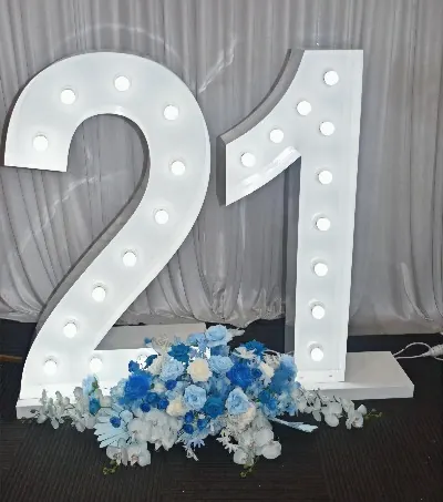 Twenty One Light Up Numbers for 21 Light up numbers