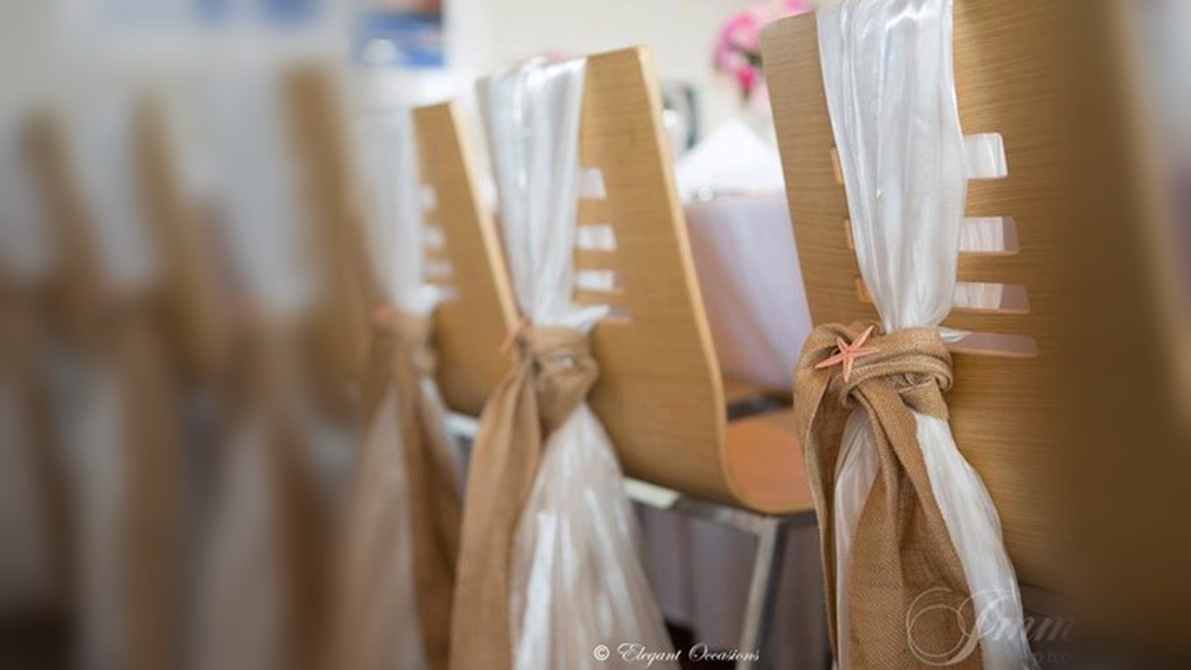 Chair Covers & Sashes
